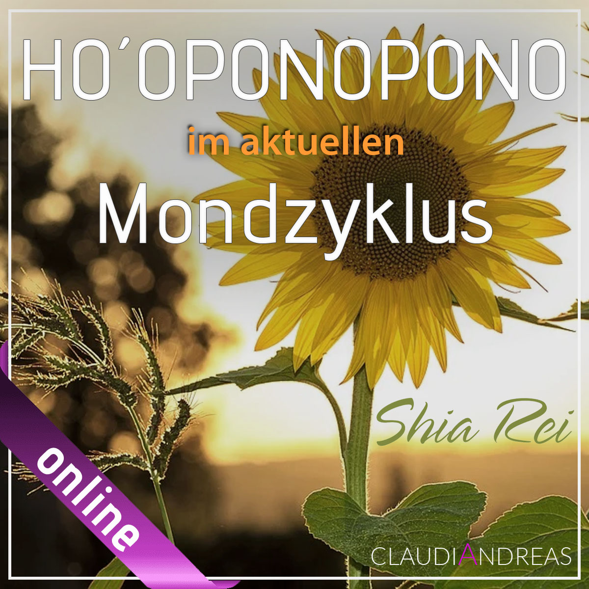 Hoʻoponopono